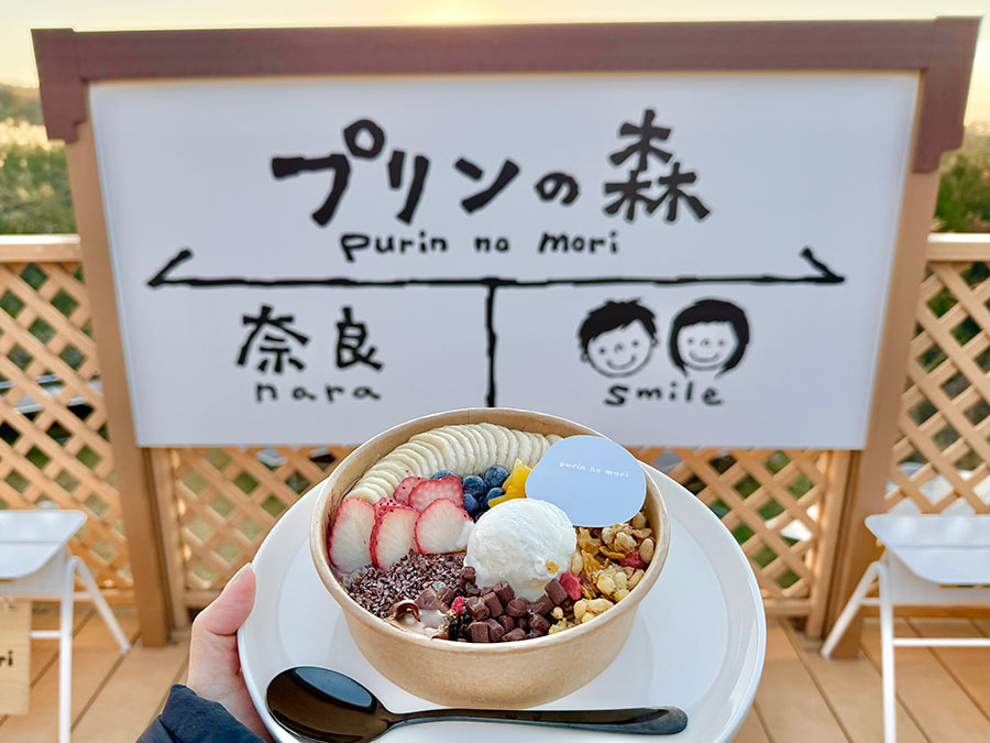 25-12daibutsu-purin-10